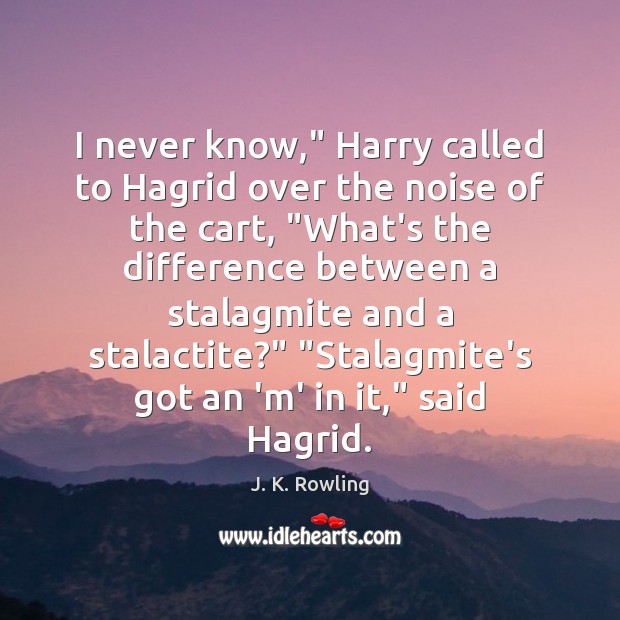 I never know,” Harry called to Hagrid over the noise of the Image