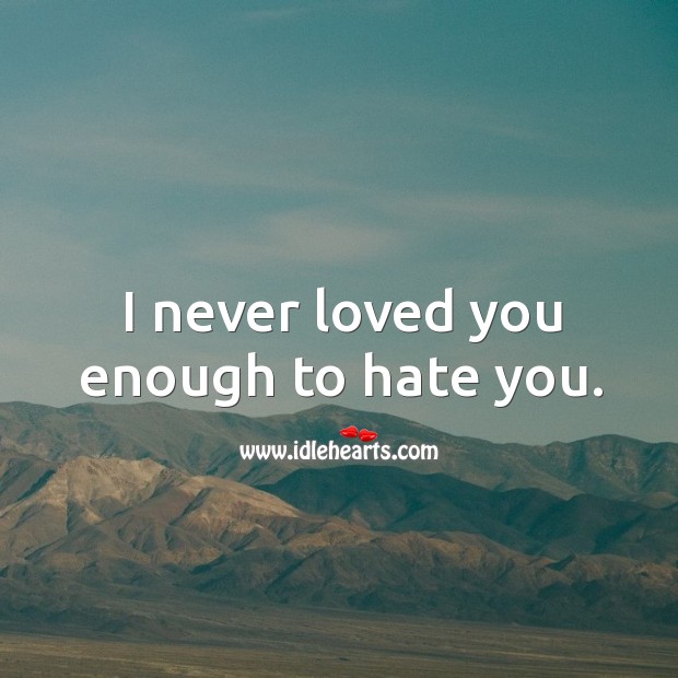 I never loved you enough to hate you. Hate Quotes Image