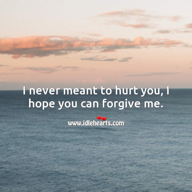I never meant to hurt you, I hope you can forgive me. Hurt Quotes Image