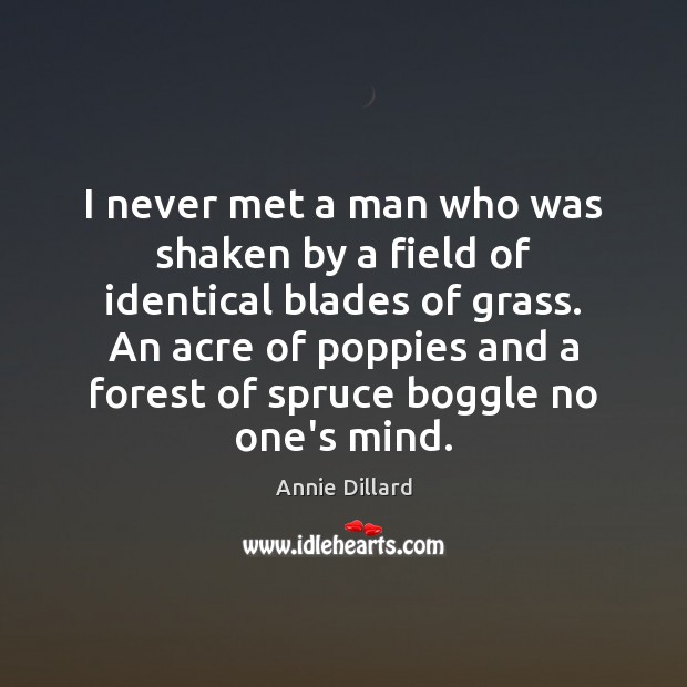 I never met a man who was shaken by a field of Annie Dillard Picture Quote