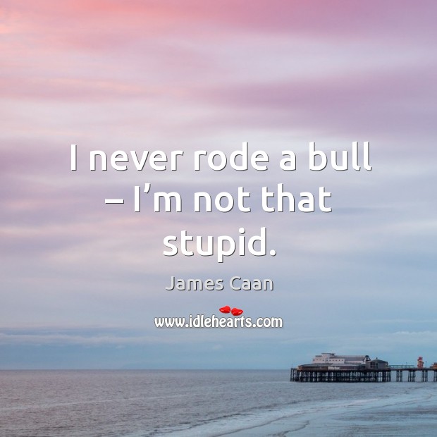 I never rode a bull – I’m not that stupid. Image