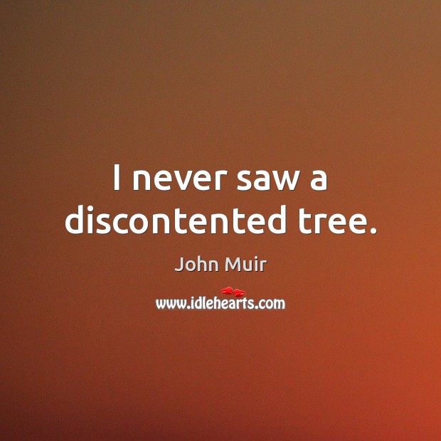 I never saw a discontented tree. John Muir Picture Quote