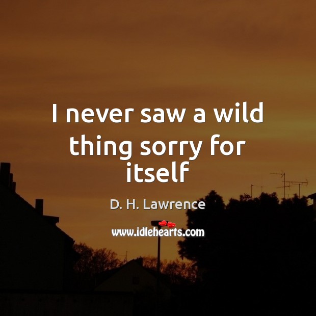 I never saw a wild thing sorry for itself D. H. Lawrence Picture Quote
