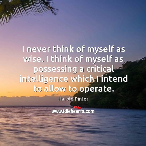 I never think of myself as wise. I think of myself as possessing a critical intelligence which I intend to allow to operate. Image