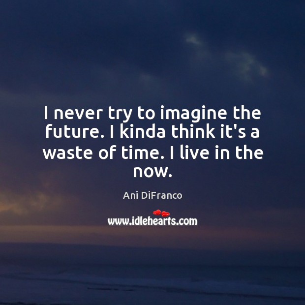 I never try to imagine the future. I kinda think it’s a waste of time. I live in the now. Ani DiFranco Picture Quote
