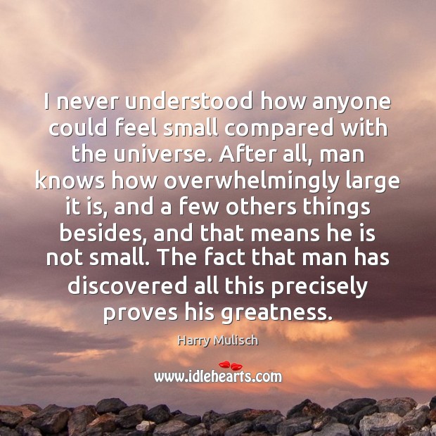 I never understood how anyone could feel small compared with the universe. Harry Mulisch Picture Quote