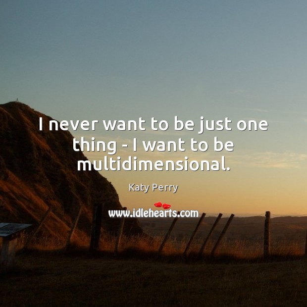 I never want to be just one thing – I want to be multidimensional. Image