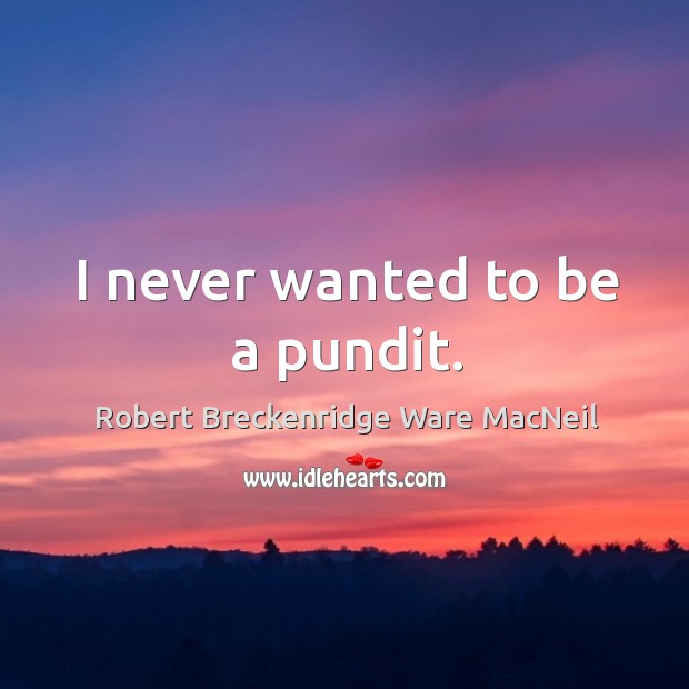 I never wanted to be a pundit. Robert Breckenridge Ware MacNeil Picture Quote