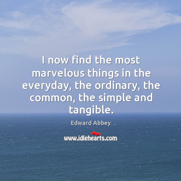I now find the most marvelous things in the everyday, the ordinary, Image