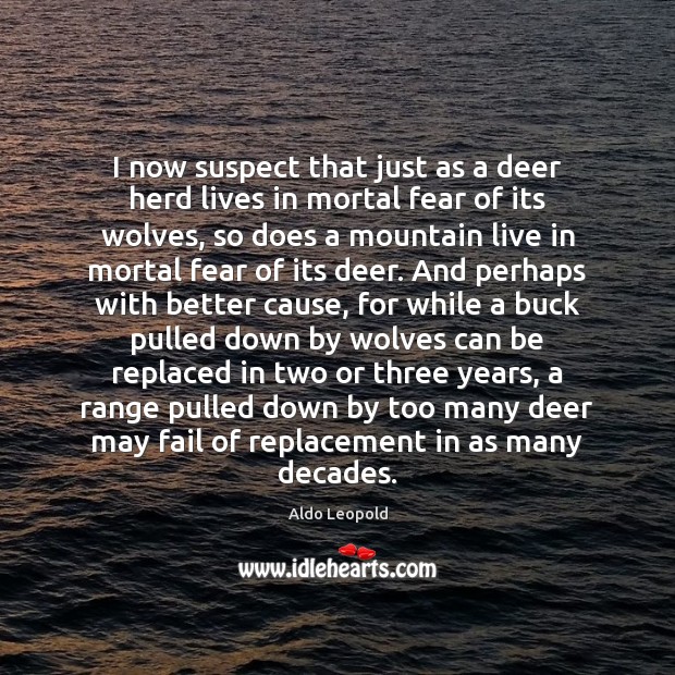 I now suspect that just as a deer herd lives in mortal Aldo Leopold Picture Quote