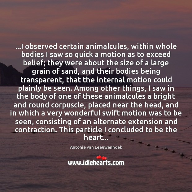 …I observed certain animalcules, within whole bodies I saw so quick a Image