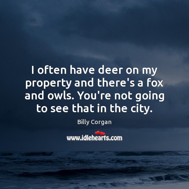 I often have deer on my property and there’s a fox and Billy Corgan Picture Quote