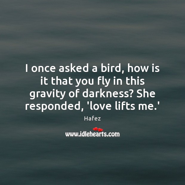 I once asked a bird, how is it that you fly in Hafez Picture Quote