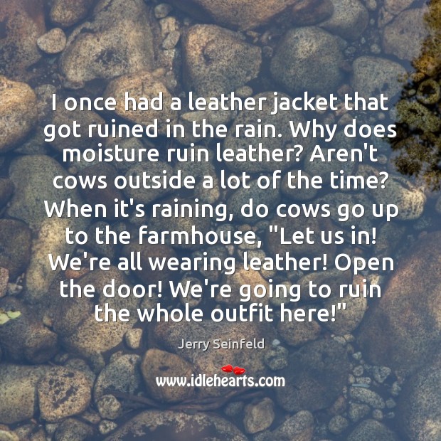 I once had a leather jacket that got ruined in the rain. Jerry Seinfeld Picture Quote