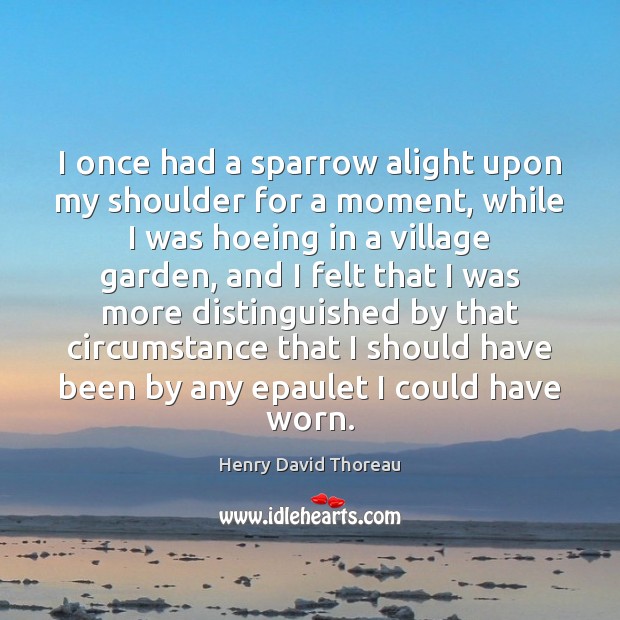 I once had a sparrow alight upon my shoulder for a moment, Image