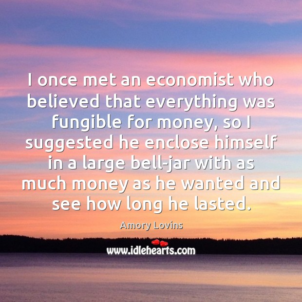 I once met an economist who believed that everything was fungible for Amory Lovins Picture Quote