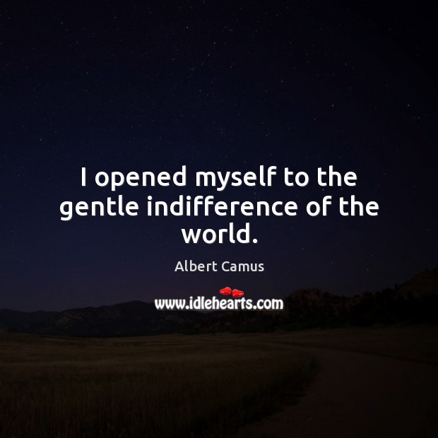 I opened myself to the gentle indifference of the world. Image
