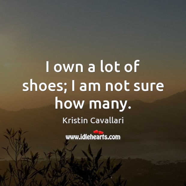 I own a lot of shoes; I am not sure how many. Image