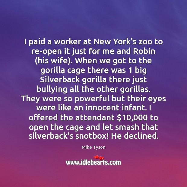 I paid a worker at New York’s zoo to re-open it just Image