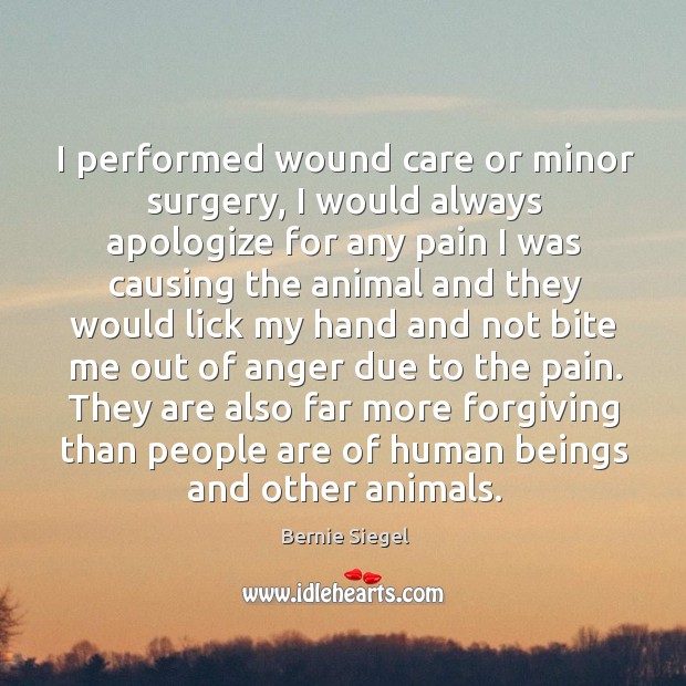 I performed wound care or minor surgery, I would always apologize for Bernie Siegel Picture Quote
