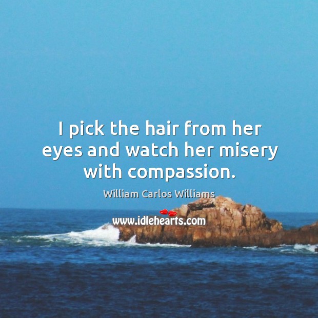 I pick the hair from her eyes and watch her misery with compassion. William Carlos Williams Picture Quote