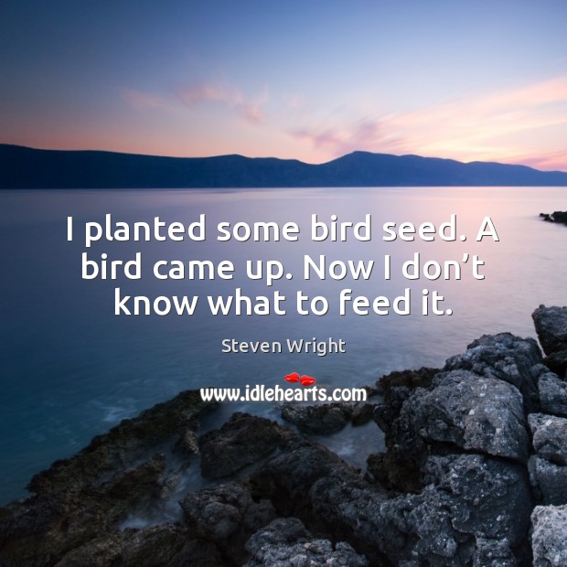 I planted some bird seed. A bird came up. Now I don’t know what to feed it. Steven Wright Picture Quote