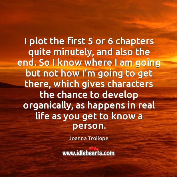 I plot the first 5 or 6 chapters quite minutely, and also the end. Joanna Trollope Picture Quote
