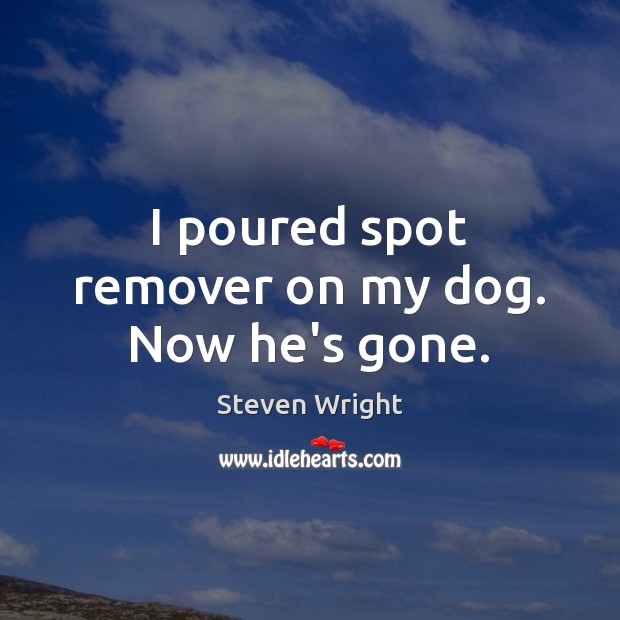 I poured spot remover on my dog. Now he’s gone. Steven Wright Picture Quote