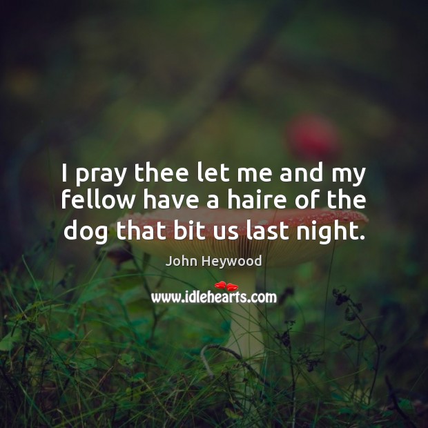 I pray thee let me and my fellow have a haire of the dog that bit us last night. John Heywood Picture Quote