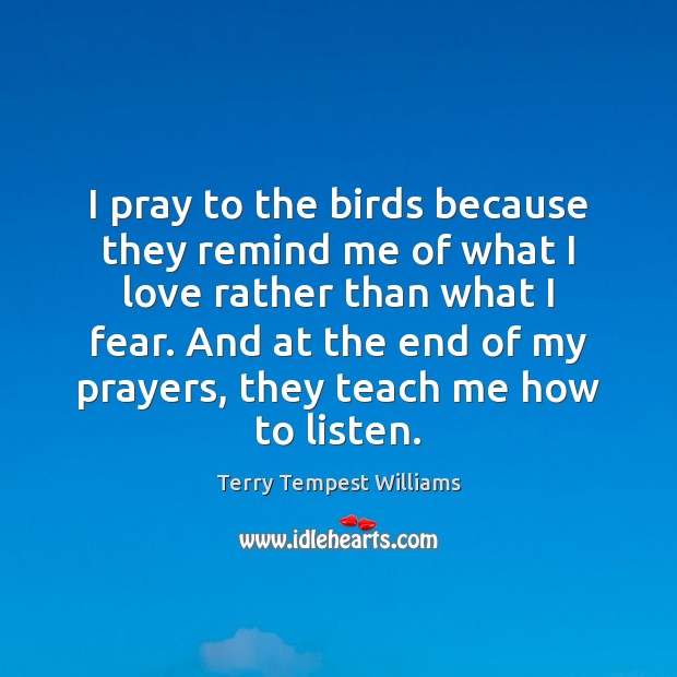 I pray to the birds because they remind me of what I Terry Tempest Williams Picture Quote