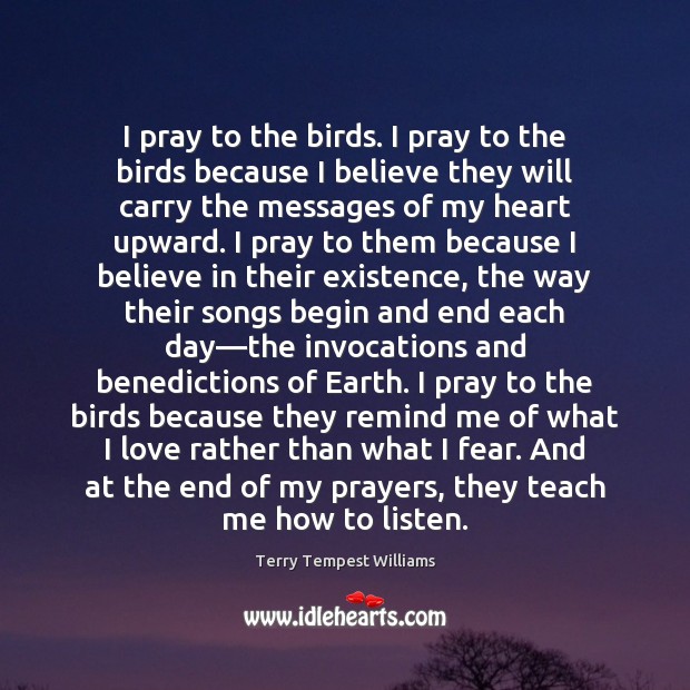 I pray to the birds. I pray to the birds because I Terry Tempest Williams Picture Quote
