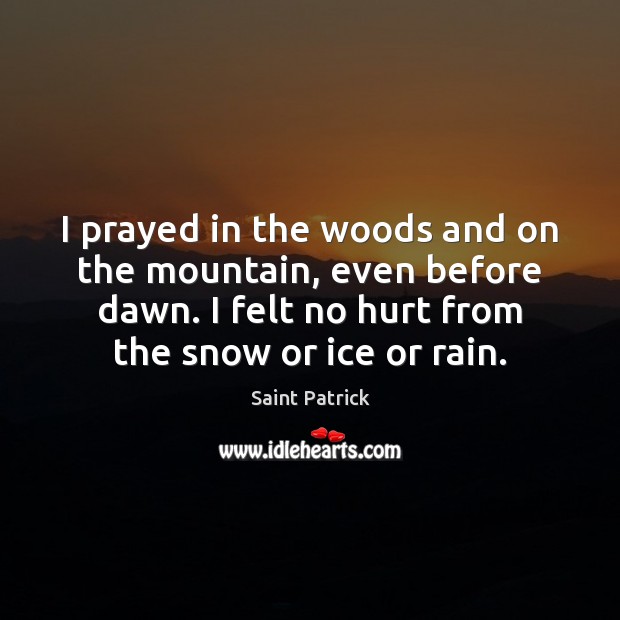 I prayed in the woods and on the mountain, even before dawn. Saint Patrick Picture Quote