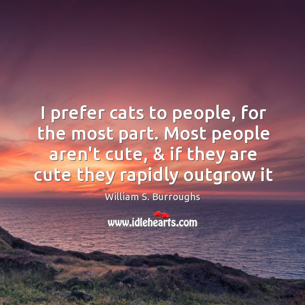 I prefer cats to people, for the most part. Most people aren’t Image