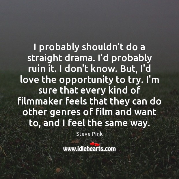 I probably shouldn’t do a straight drama. I’d probably ruin it. I Steve Pink Picture Quote