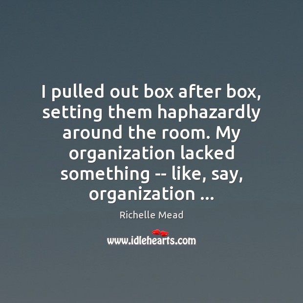 I pulled out box after box, setting them haphazardly around the room. Richelle Mead Picture Quote