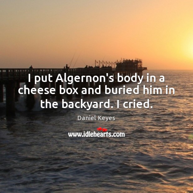 I put Algernon’s body in a cheese box and buried him in the backyard. I cried. Daniel Keyes Picture Quote