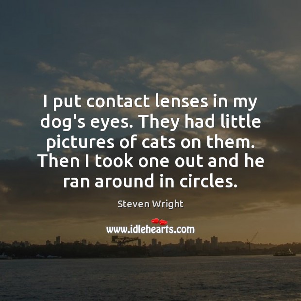 I put contact lenses in my dog’s eyes. They had little pictures Steven Wright Picture Quote