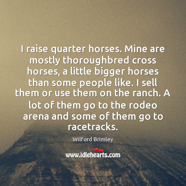 I raise quarter horses. Mine are mostly thoroughbred cross horses, a little Wilford Brimley Picture Quote