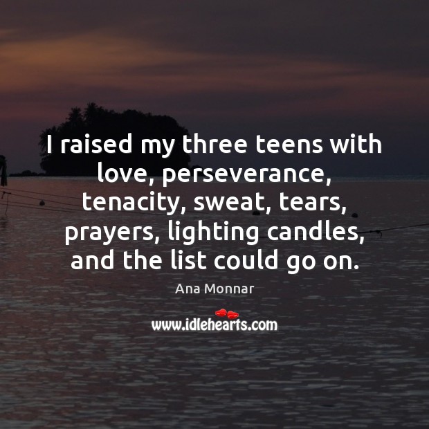 I raised my three teens with love, perseverance, tenacity, sweat, tears, prayers, Teen Quotes Image