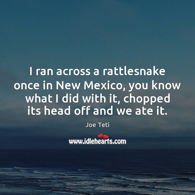I ran across a rattlesnake once in New Mexico, you know what Joe Teti Picture Quote