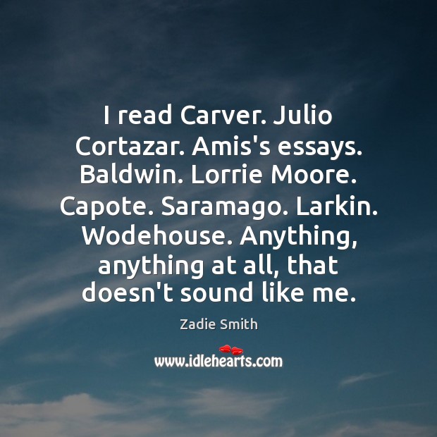 I read Carver. Julio Cortazar. Amis’s essays. Baldwin. Lorrie Moore. Capote. Saramago. Image