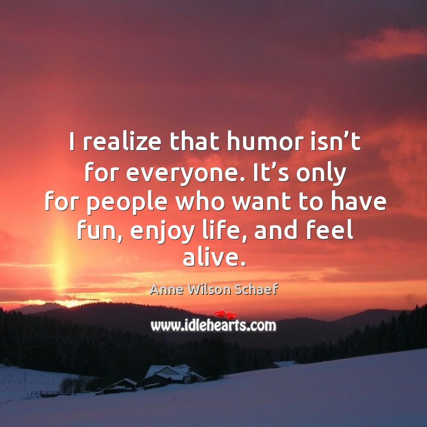I realize that humor isn’t for everyone. Anne Wilson Schaef Picture Quote