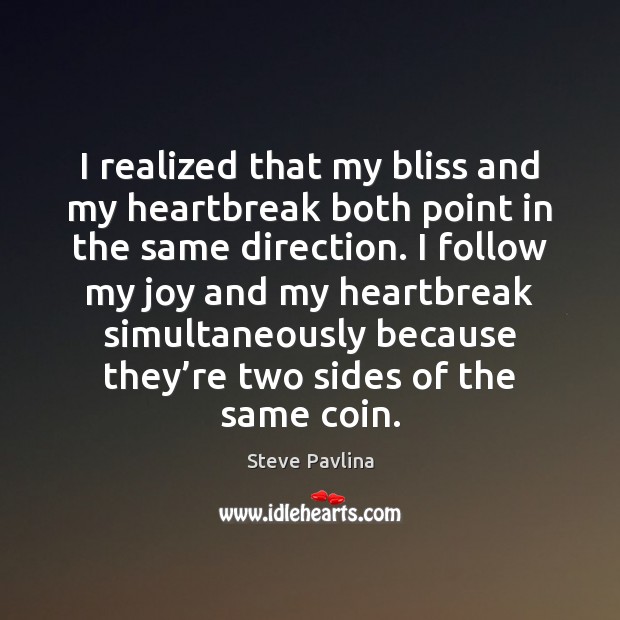 I realized that my bliss and my heartbreak both point in the Steve Pavlina Picture Quote