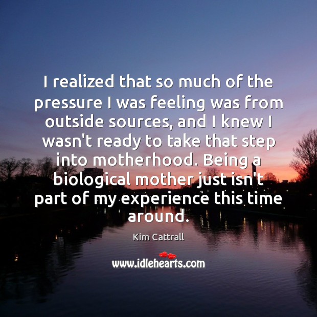 I realized that so much of the pressure I was feeling was Kim Cattrall Picture Quote