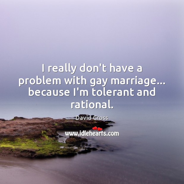 I really don’t have a problem with gay marriage… because I’m tolerant and rational. David Cross Picture Quote