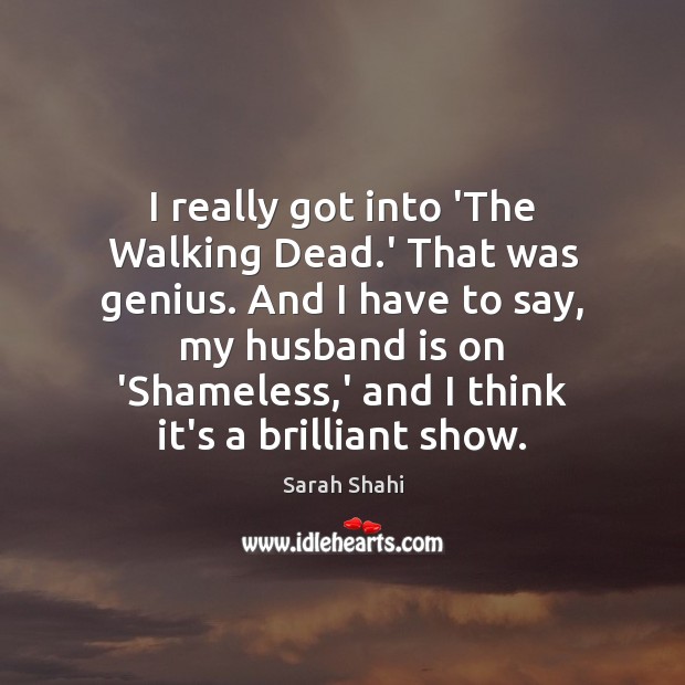I really got into ‘The Walking Dead.’ That was genius. And Sarah Shahi Picture Quote