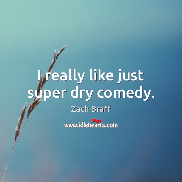I really like just super dry comedy. Zach Braff Picture Quote
