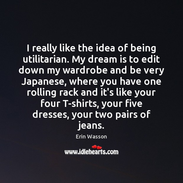 I really like the idea of being utilitarian. My dream is to Erin Wasson Picture Quote