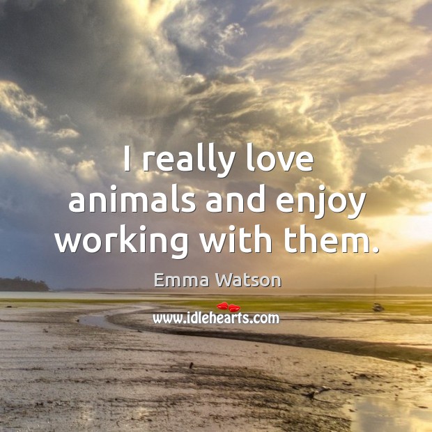 I really love animals and enjoy working with them. Image