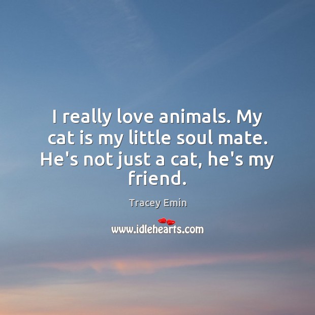I really love animals. My cat is my little soul mate. He’s not just a cat, he’s my friend. Tracey Emin Picture Quote